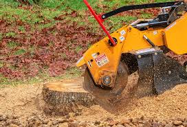 Best Tree and Shrub Care  in Fourche Crossing, LA